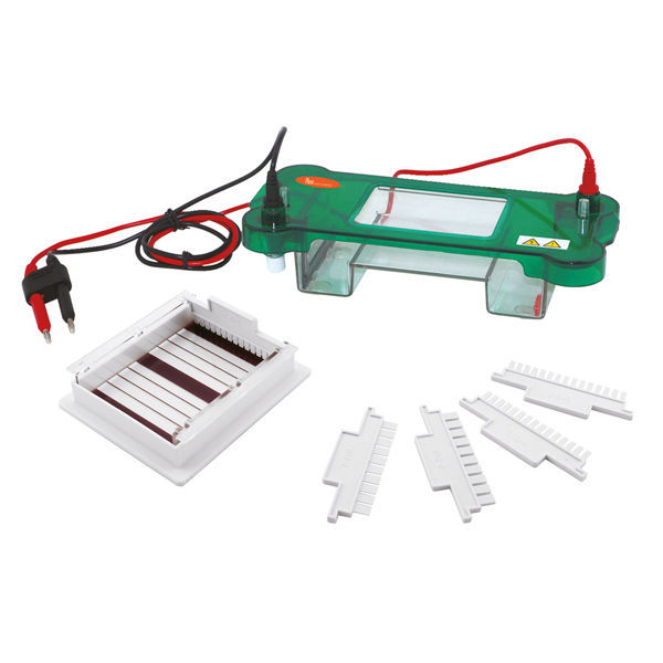 Sistema De Electroforesis Para Laboratorio Elfh Series Labbox