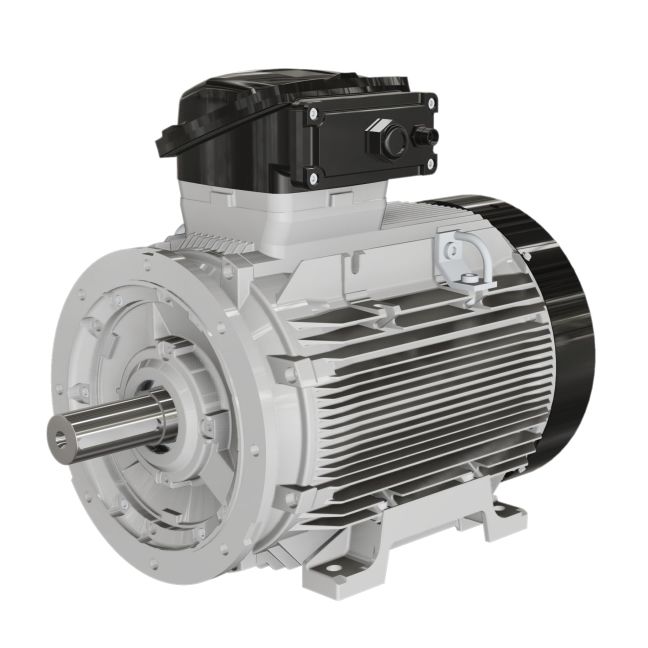 Motor A Prueba De Llamas W Ef Series Wolong Electric Group