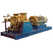 bomba centr&iacute;fuga de aspiraci&oacute;n doble para alta temperatura 340 m3/h, 750 psig, API 610, 455 &deg;C | 3640 series Goulds Pumps