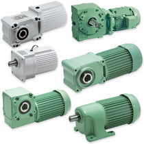 motorreductor el&eacute;ctrico helicoidal compacto de &aacute;rboles paralelos  Tsubakimoto Chain