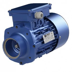 motor para grúa / AC / síncrono / 250 V
