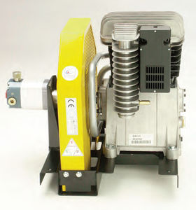 bomba de agua / con motor térmico / de pistón / compacta
