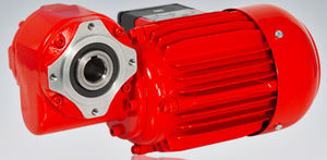 motorreductor eléctrico monofásico / trifásico / de eje ortogonal / de tornillo sin fin