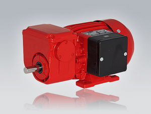 motorreductor eléctrico trifásico / monofásico / coaxial / de tornillo sin fin