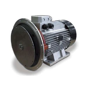alternador asíncrono / sin escobillas / para grupo electrógeno / de tensión alterna