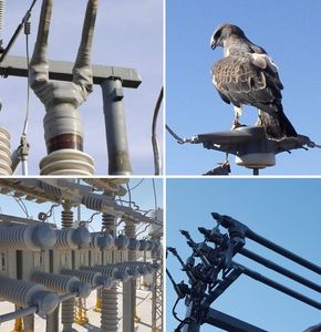 aislador de silicona / eléctrico / de alta tensión