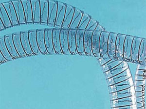 tubo flexible para productos alimentarios / para el agua / de succión / impelente