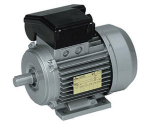 motor-freno eléctrico asíncrono / trifásico / 100 V
