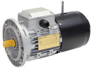 motor-freno eléctrico asíncrono / trifásico / 100 V