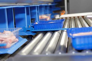 transportador de rodillos / para la industria alimentaria / para barquillas / horizontal