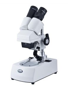estereomicroscopio económico