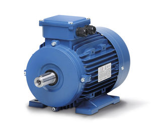 motor-freno eléctrico asíncrono / trifásico