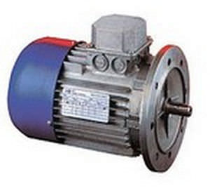 motor-freno eléctrico asíncrono / trifásico / 100 V