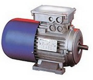 motor-freno eléctrico asíncrono / trifásico / 100 V