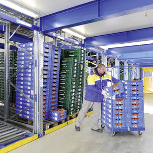 sistema de estanterías con paleta / depósito de almacenamiento / para carga pesada / para caja