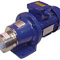 bomba de engranaje / de arrastres magnéticos - max. 2 460 l/h, max. 250 psi, ATEX | T series