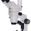 estereomicroscopio con zoom - Hornet Micro Zoom 1280
