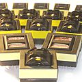 transformador de potencia / de altas frecuencias / para de transmisión para electrónica - 105 - 250 W | SRL series