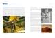 Revista �Desarrollos actuales del Grupo KAHL 