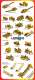 Spanish International Full Line Brochure 