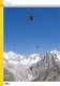  Petzl's 2010 Professional catalog