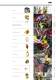  Petzl's 2010 Professional catalog