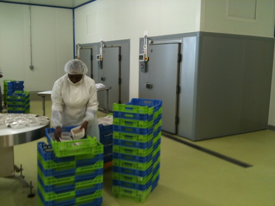 ACFRI Photo 3