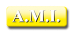 A.M.I AMI - logo