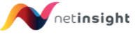 Net Insight AB - logo