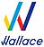 Wallace Instruments