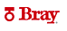 Bray International