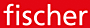 Fischer Information Technology GmbH