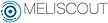Meliscout GmbH - Vision Engineering