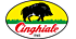 PENNELLI CINGHIALE SRL