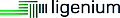 ligenium GmbH