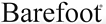 BAREFOOT BY BEAGLE, INC.