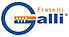 F.LLI GALLI G. & P.