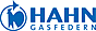 HAHN Gasfedern