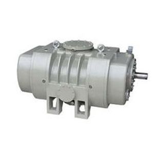 Bomba De Vacio Roots Zjq Series Shanghai Evp Vacuum Technology Co Ltd Lubricada Monoetapa De Aspiracion