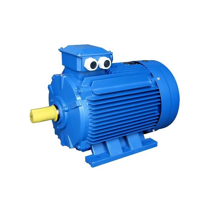 Motor trifásico YE2 series FUDING BROTHERS POWER COMPANY de