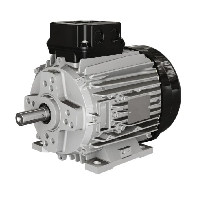 Motor síncrono M series Wolong Electric Group 400V / IP55 / IP65