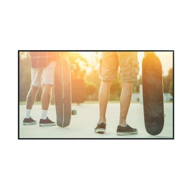 Visualizador LCD MultiSync® P555 PG2 SHARP / NEC de gran formato