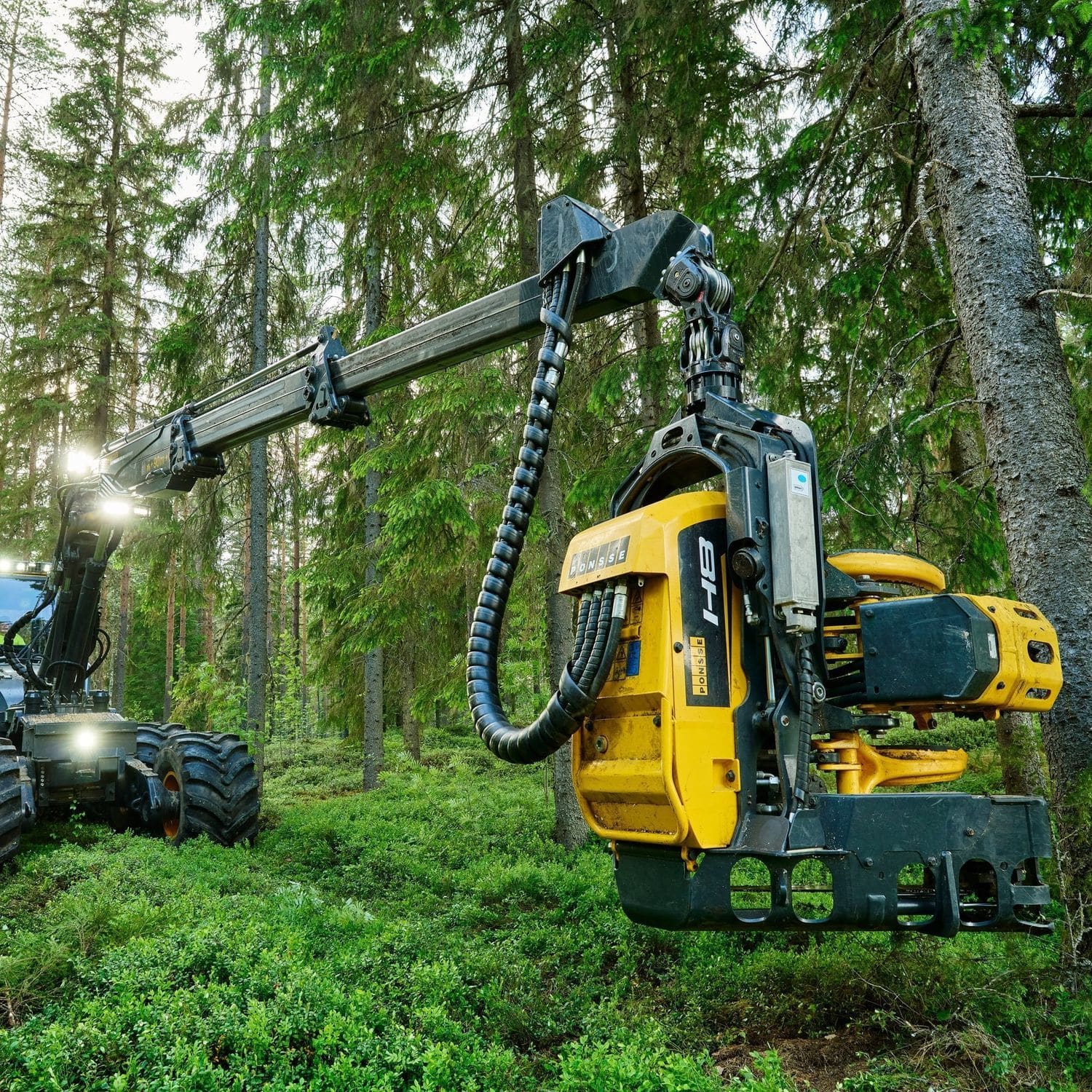 Forestry harvester