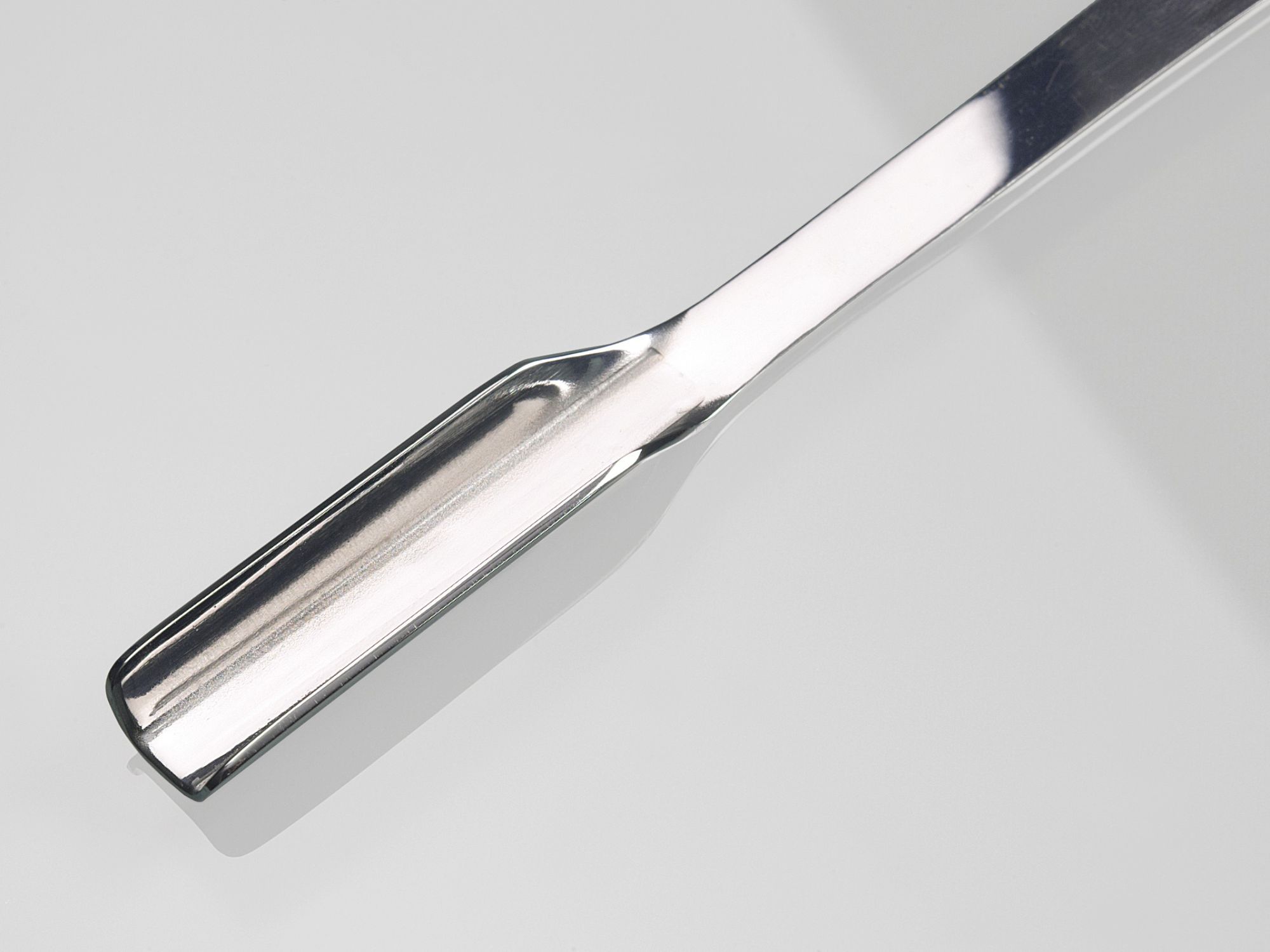 Espátula para laboratorio / para muestras / micro / de acero inoxidable Bürkle Espátula para laboratorio / para muestras / micro / de acero inoxidable Bürkle