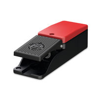 Interruptor de pedal de control / 1 pedal