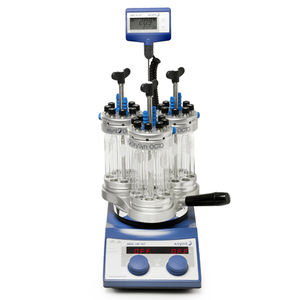 reactor batch