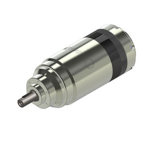 motor neumático de paletas 1