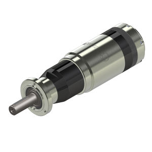 motor neumático de paletas 1