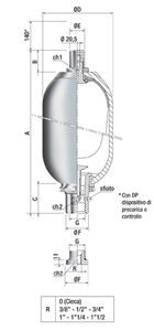 acumulador de vejiga