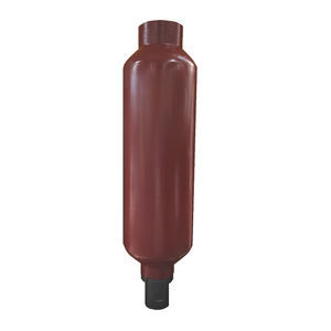 acumulador de vejiga